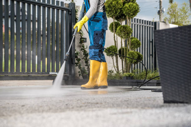 Boat and Dock Cleaning in Hybla Valley, VA